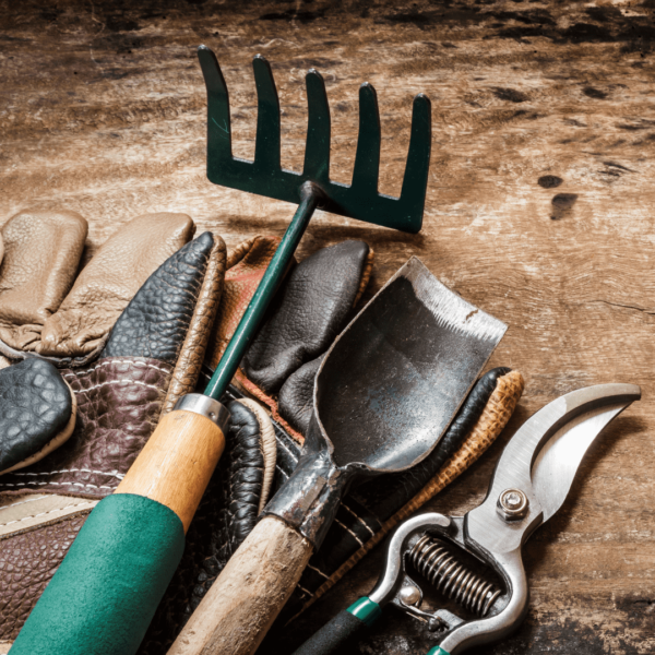 Tools - Image 2