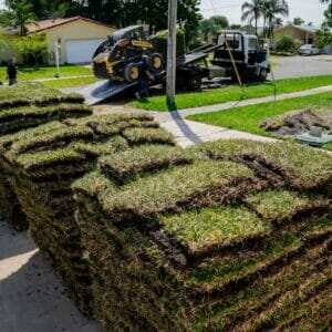 Sod Installation